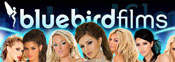 Featured Studio | Bluebird Featured Studio | Bluebird